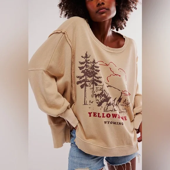 🆕FREE PEOPLE YELLOWSTONE We The Free Graphic Camden Pullover-Size Small - Picture 1 of 15